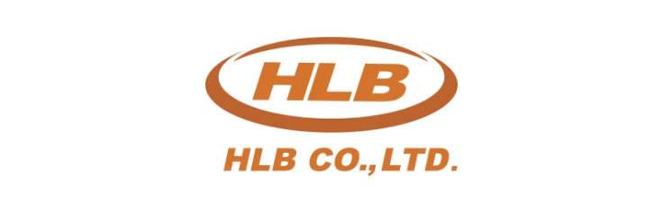 Logo Hyundai Lifeboat